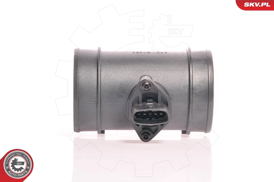 Mass Air Flow Sensor